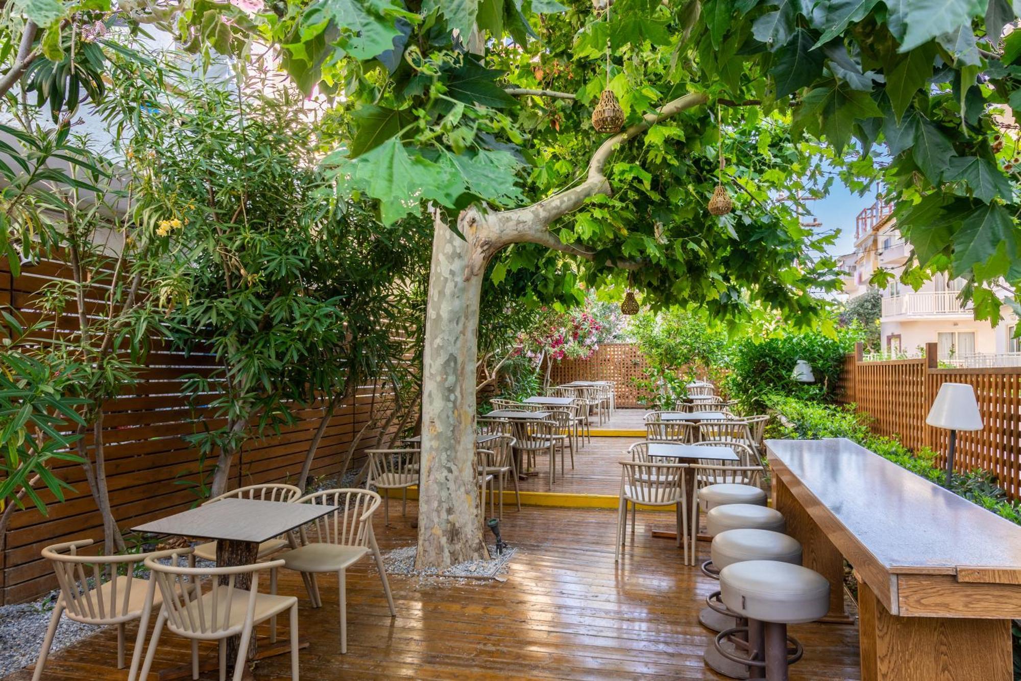 Chc Marilena Hotel Amoudara Lasithiou Extérieur photo